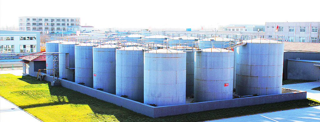 拉斯维加斯官网登录入口  