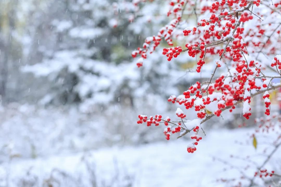 拉斯维加斯官网登录入口(中国游)首页